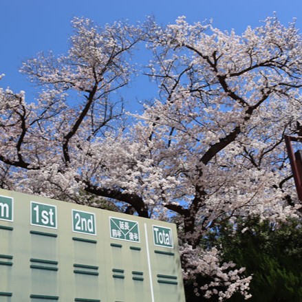 20260317マイシティゲストトーク