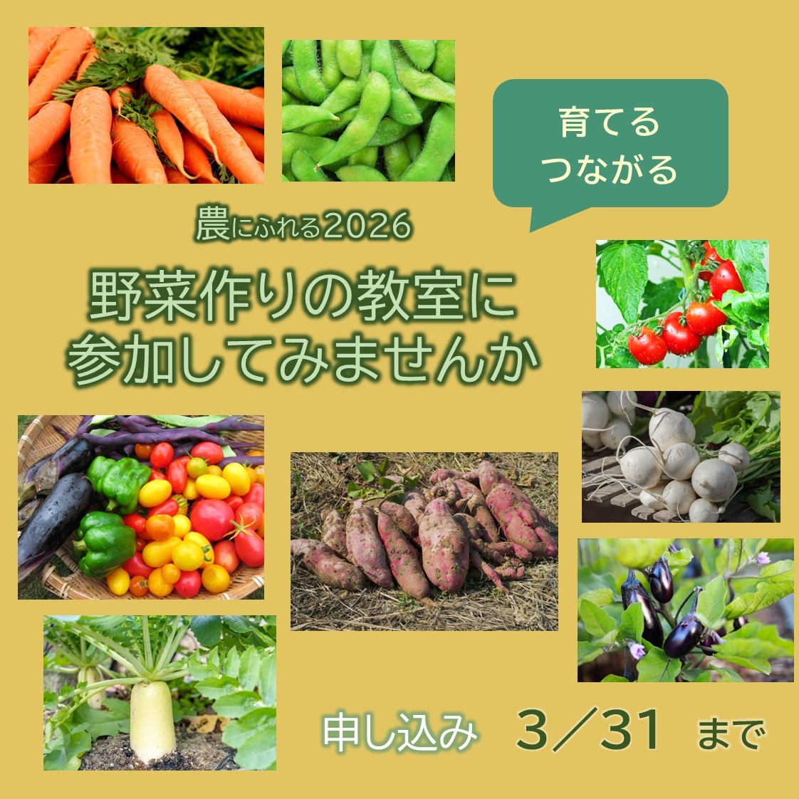 20160324マイシティゲストトーク