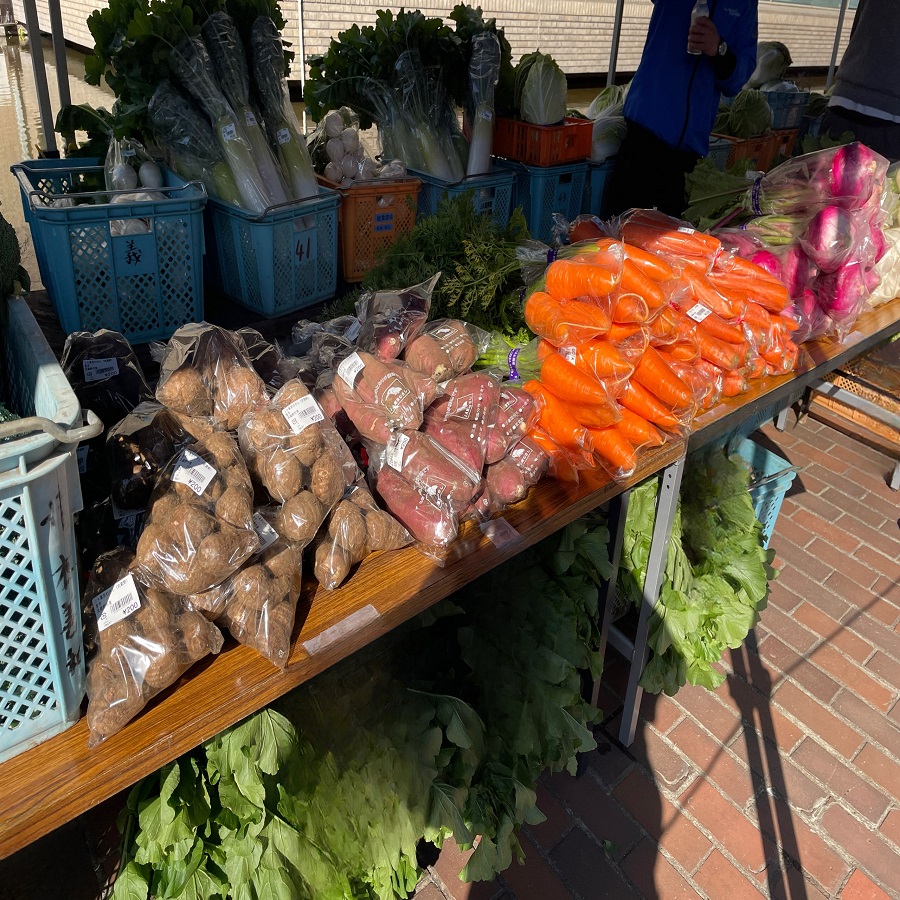 20251117マイシティゲストトーク